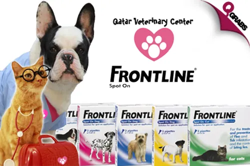 From QR97, Frontline Treatment for your Pets with Paws at Qatar Veterinary Center’s new Duhail Branch! (up to QR255 Value)